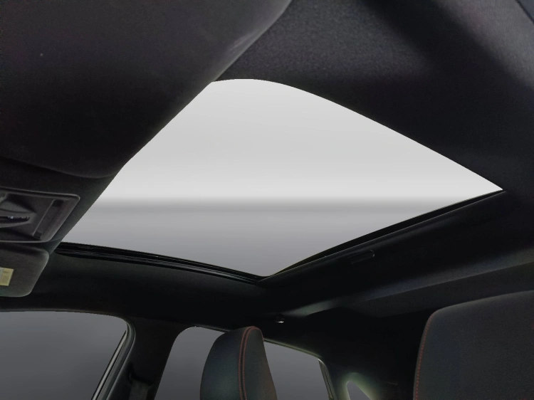 15 - Ford Puma Puma 1.0 ecoboost hybrid ST-Line X s&s 125cv