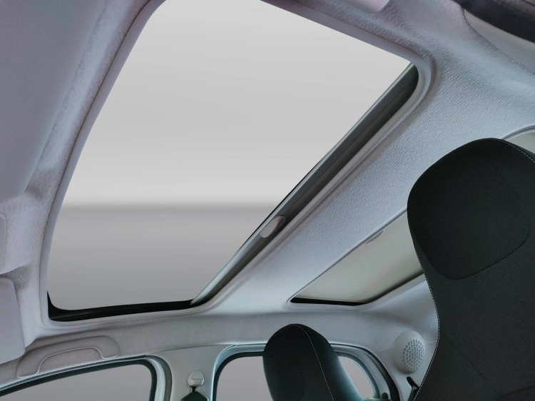 17 - smart forfour Forfour 0.9 t Superpassion 90cv twinamic