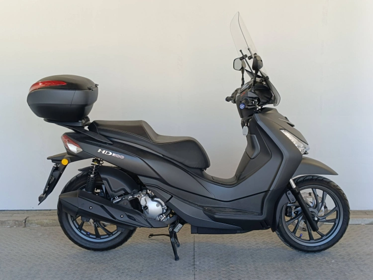 1 - Sym HD HD 300 Abs E5