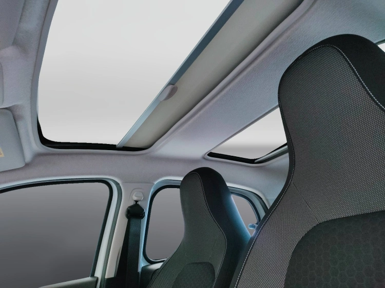 12 - smart forfour Forfour eq Passion 4,6kW