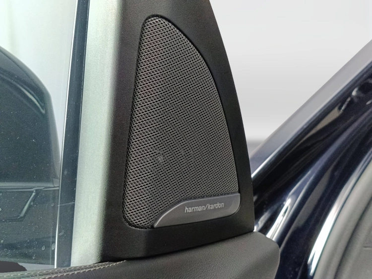 31 - BMW X7 X7 xdrive 40d 48V MSport Pro auto 7p.ti