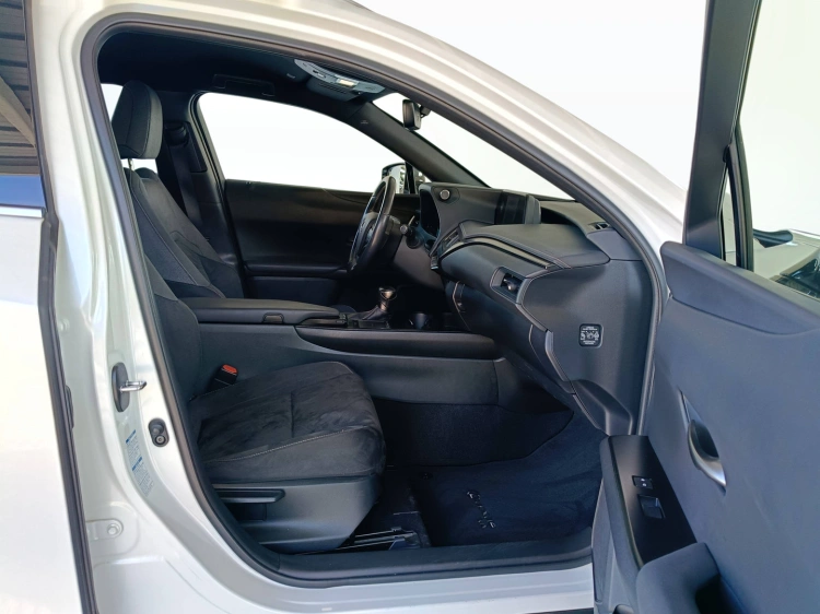 11 - Lexus UX UX 250h 2.0 Luxury 4wd cvt my20