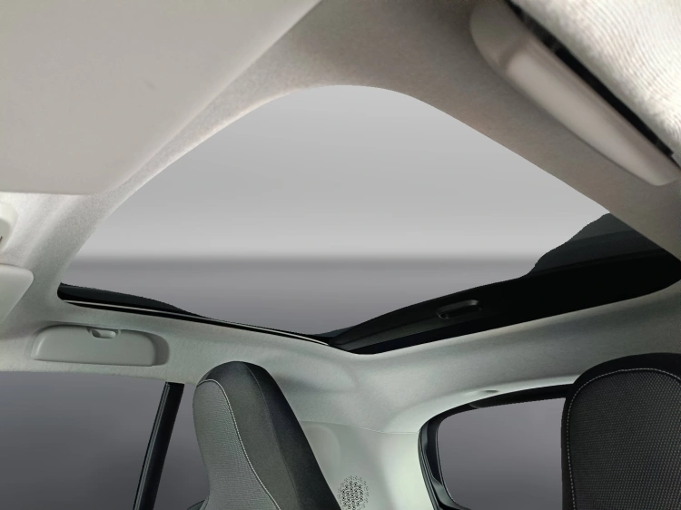 17 - smart fortwo Fortwo eq Prime 22kW