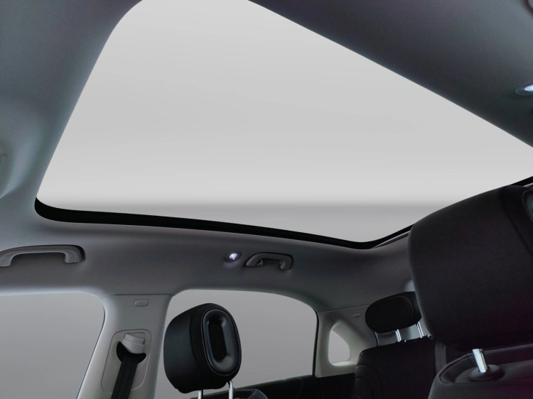 18 - smart #1 #1 Pro+ 22kW