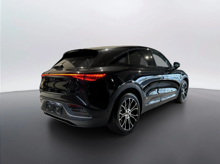 13 - smart #3 PREMIUM