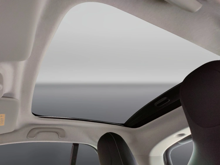 12 - smart fortwo Fortwo 0.9 t Superpassion 90cv twinamic