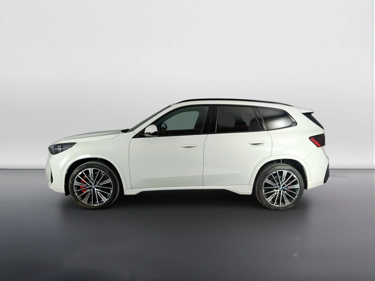 6 - BMW X1 X1 sdrive20i mhev 48V MSport Pro auto