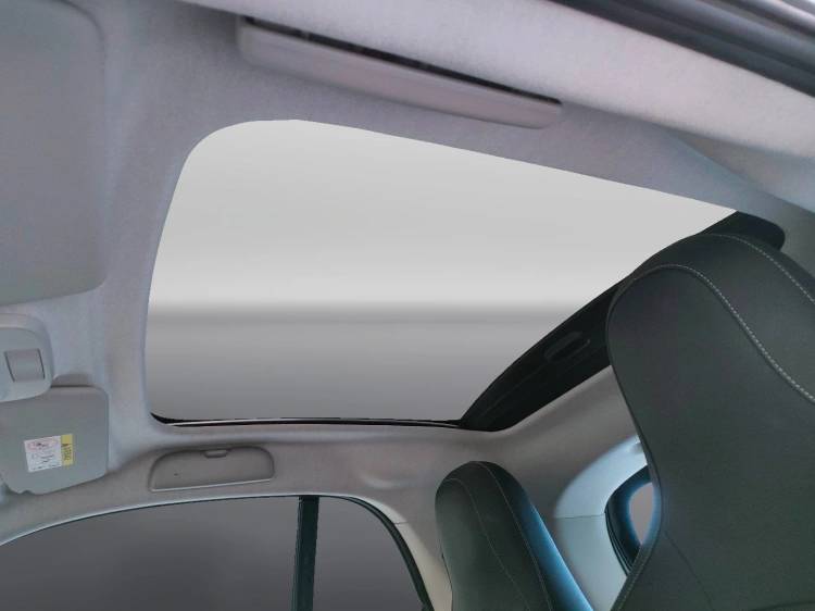 12 - smart fortwo Fortwo eq Prime 22kW