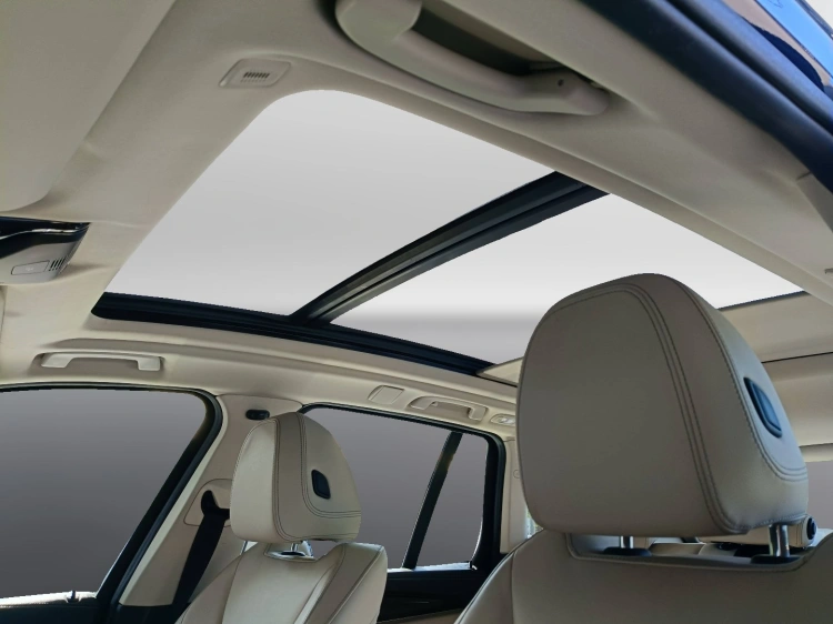 17 - BMW X3 X3 xdrive20d Luxury 190cv auto
