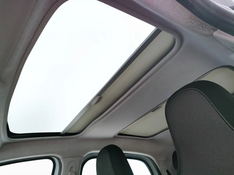 14 - smart forfour Forfour eq Pulse 22kW