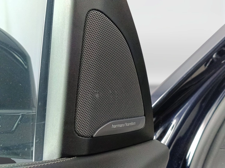 31 - BMW X7 X7 xdrive 40d 48V MSport Pro auto 7p.ti