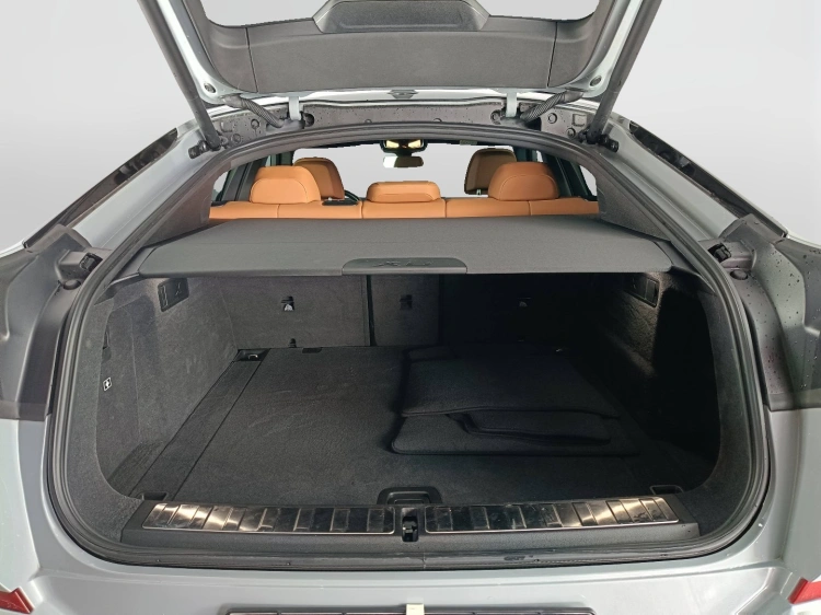 21 - BMW X6 X6 xdrive30d mhev 48V Msport auto