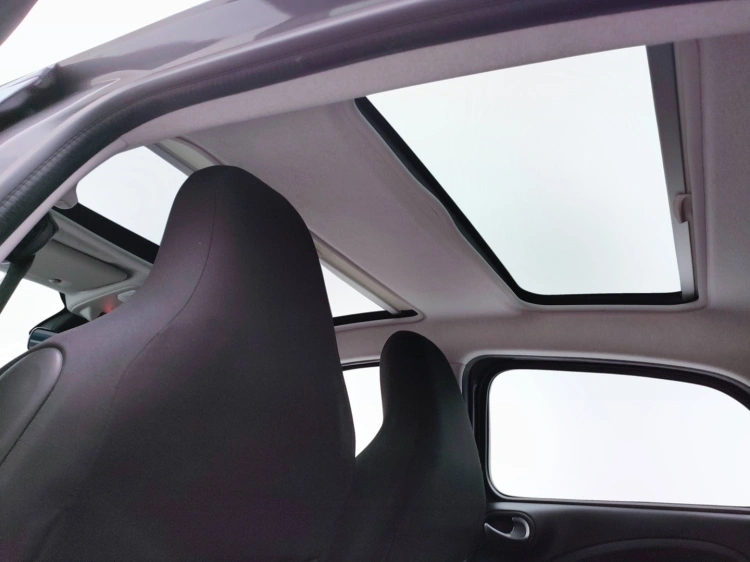 14 - smart forfour Forfour eq Passion 22kW