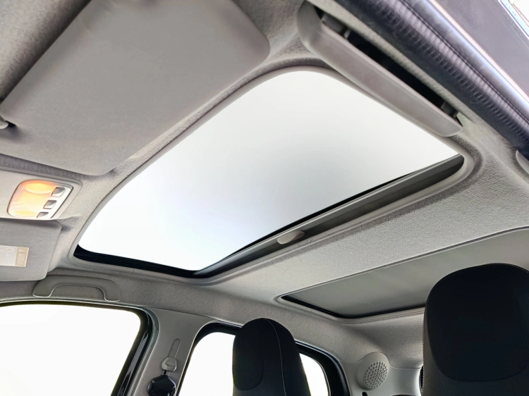 14 - smart forfour Forfour 0.9 t Passion 90cv twinamic my18