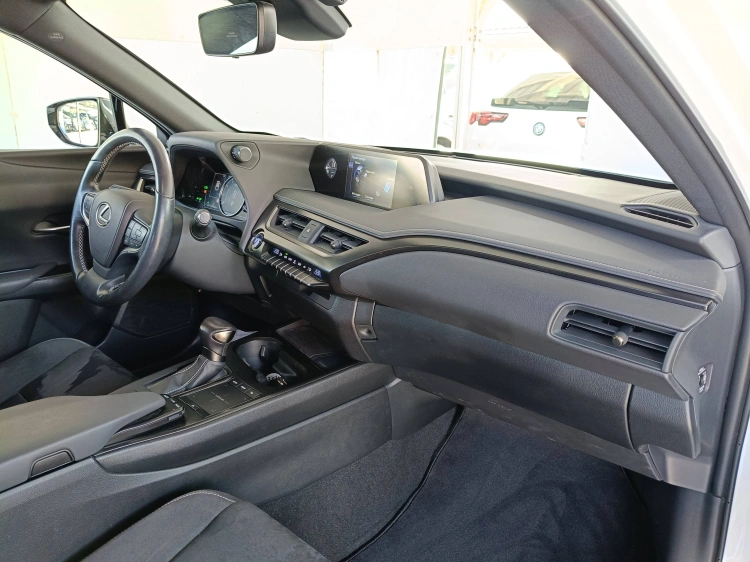 10 - Lexus UX UX 250h 2.0 Luxury 4wd cvt my20