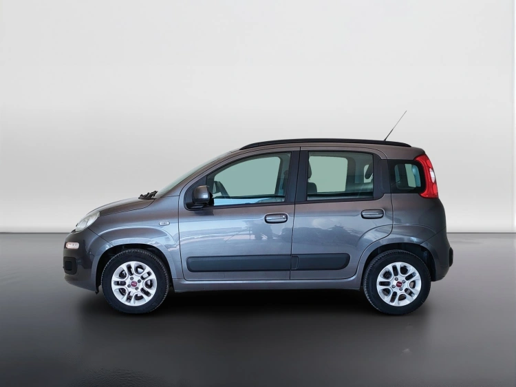 8 - Fiat Panda Panda 1.2 Lounge s&s 69cv my19