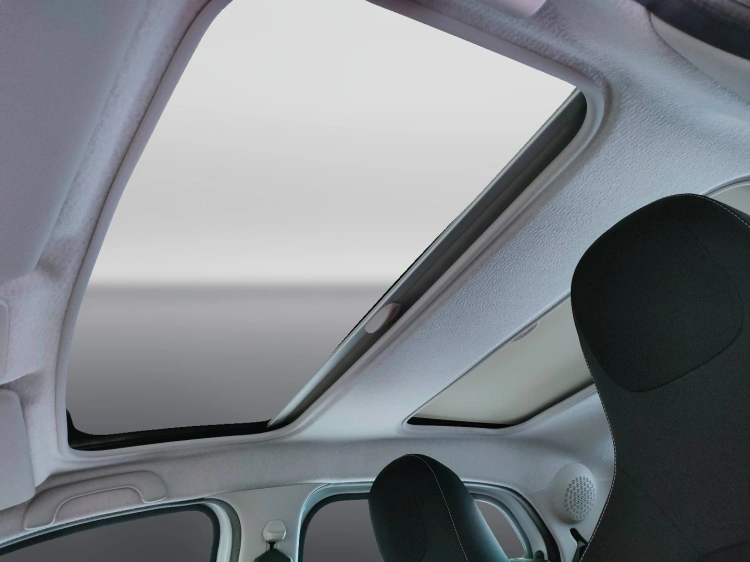 17 - smart forfour Forfour 0.9 t Superpassion 90cv twinamic