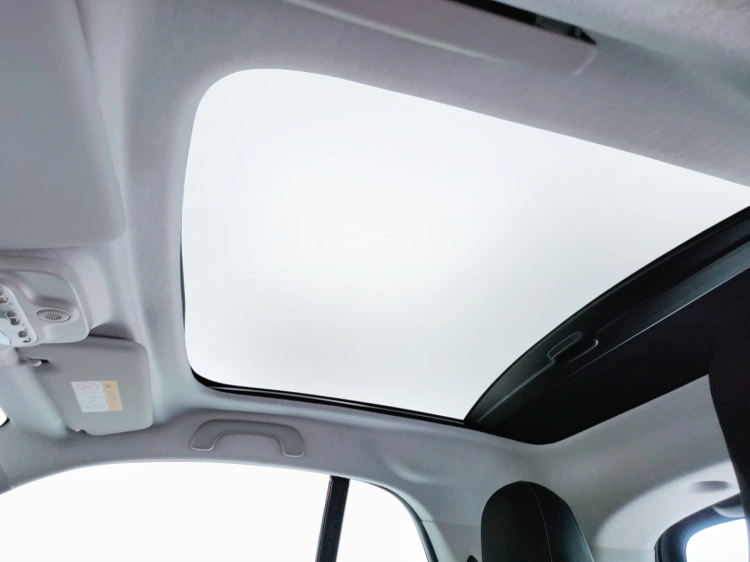 12 - smart fortwo Fortwo 1.0 Superpassion 71cv twinamic