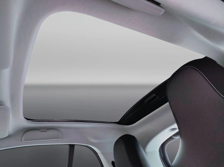 14 - smart fortwo Fortwo eq Pulse 22kW