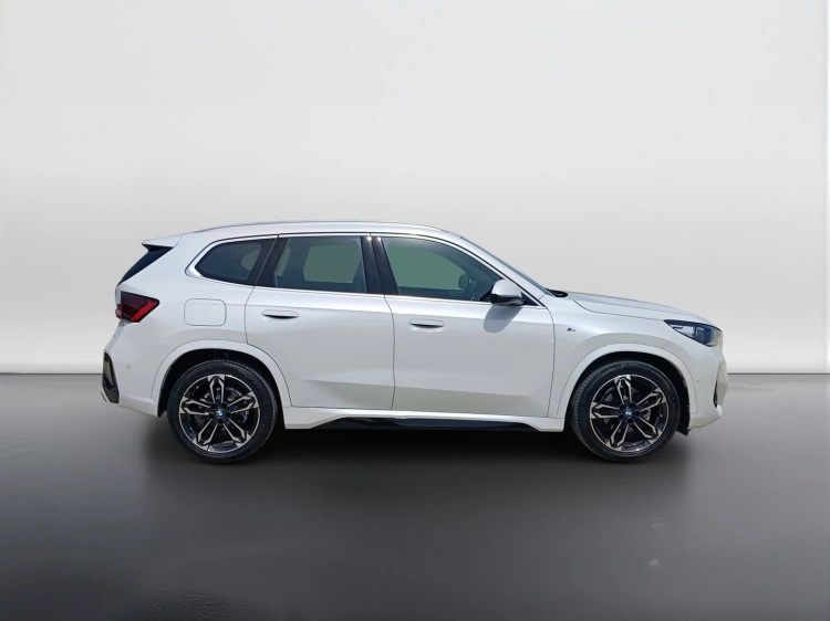 6 - BMW X1 X1 sdrive18d MSport auto