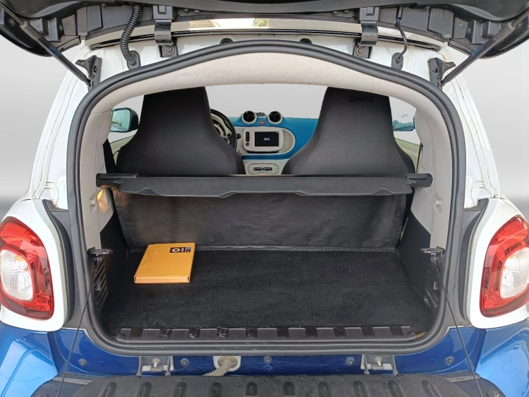 13 - smart fortwo Fortwo 1.0 Proxy 71cv twinamic