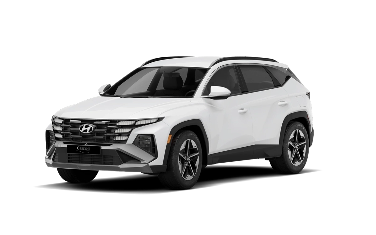 Hyundai Tucson 1.6 CRDi MHEV 2 WD 136 cv Business DCT
