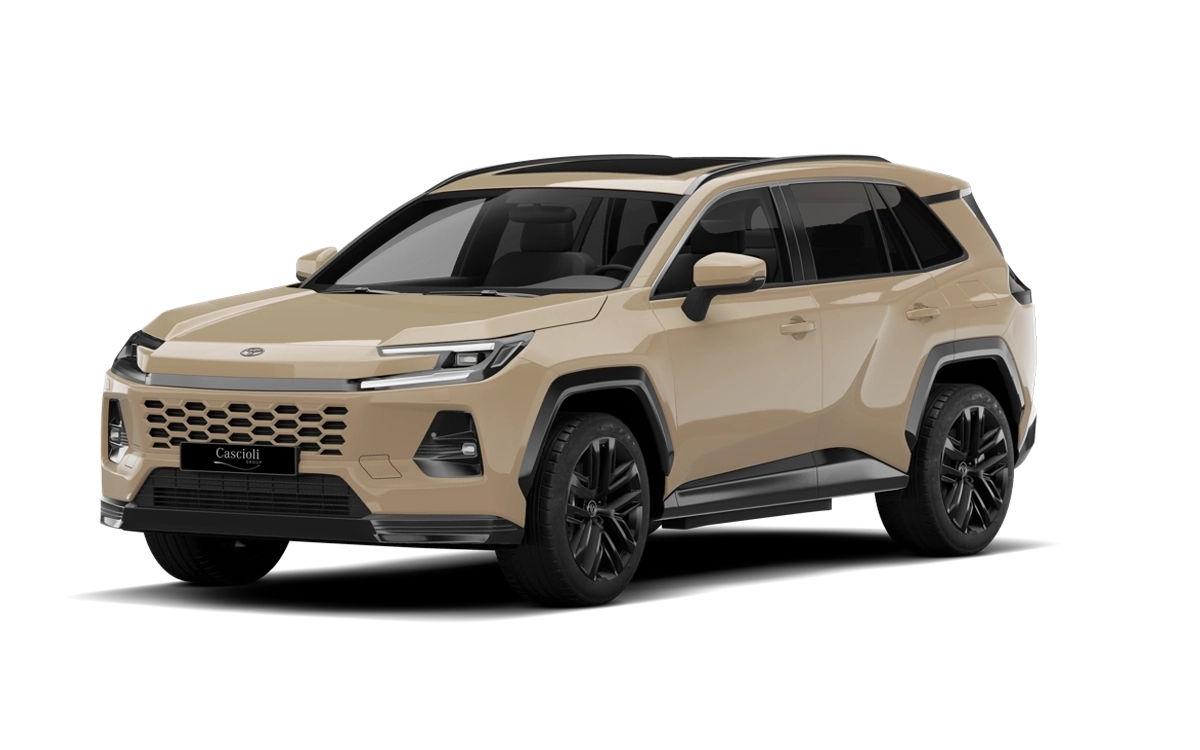 Toyota RAV4 2.5 Hybrid 185CV 4X2 CVT