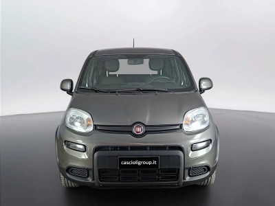 2 - Fiat Panda Cascioli Group