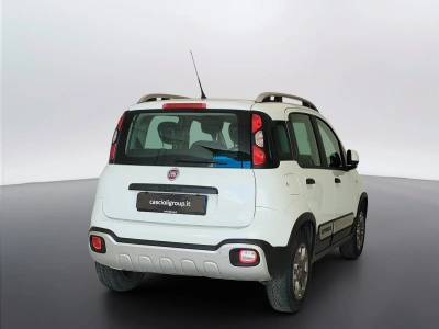 5 - Fiat Panda Cascioli Group