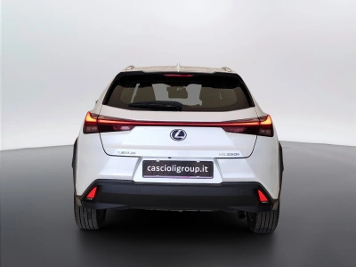 4 - Lexus UX Cascioli Group