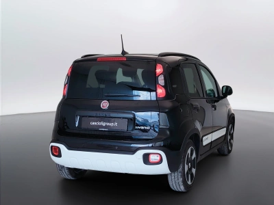 5 - Fiat Panda Cascioli Group