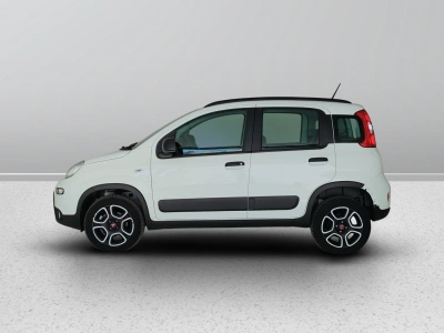 3 - Fiat Panda Cascioli Group