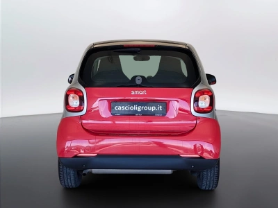 4 - smart fortwo Cascioli Group