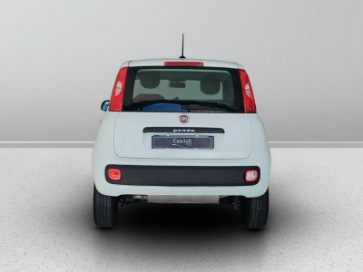 4 - Fiat Panda Cascioli Group