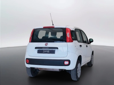 7 - Fiat Panda Cascioli Group