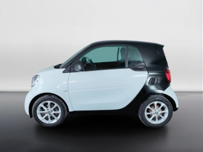 3 - smart fortwo Cascioli Group