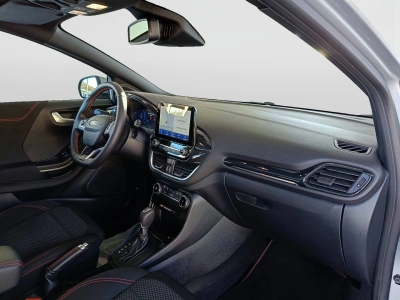 10 - Ford Puma Cascioli Group