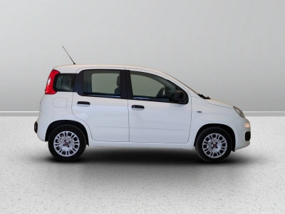 6 - Fiat Panda III Van 2016 Cascioli Group