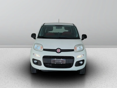 2 - Fiat Panda Cascioli Group