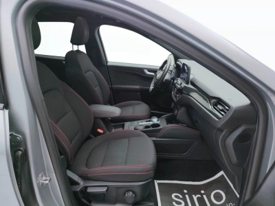 9 - Ford Kuga Cascioli Group