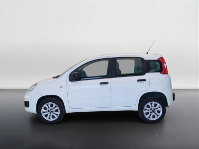 4 - Fiat Panda Cascioli Group