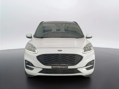 2 - Ford Kuga Cascioli Group