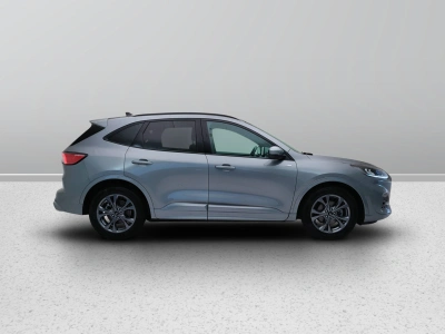 7 - Ford Kuga Cascioli Group