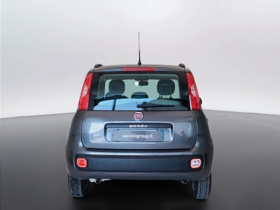 6 - Fiat Panda Cascioli Group