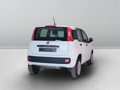 6 - Fiat Panda Cascioli Group