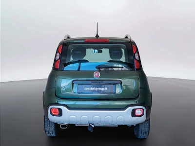 6 - Fiat Panda Cascioli Group