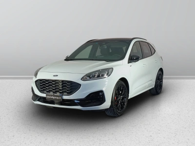 1 - Ford Kuga Cascioli Group