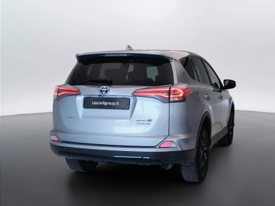 5 - Toyota RAV4 Cascioli Group