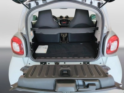 6 - smart fortwo Cascioli Group