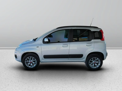 3 - Fiat Panda III Van 2016 Cascioli Group